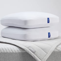 2 Casper Sleep Foam Pillows