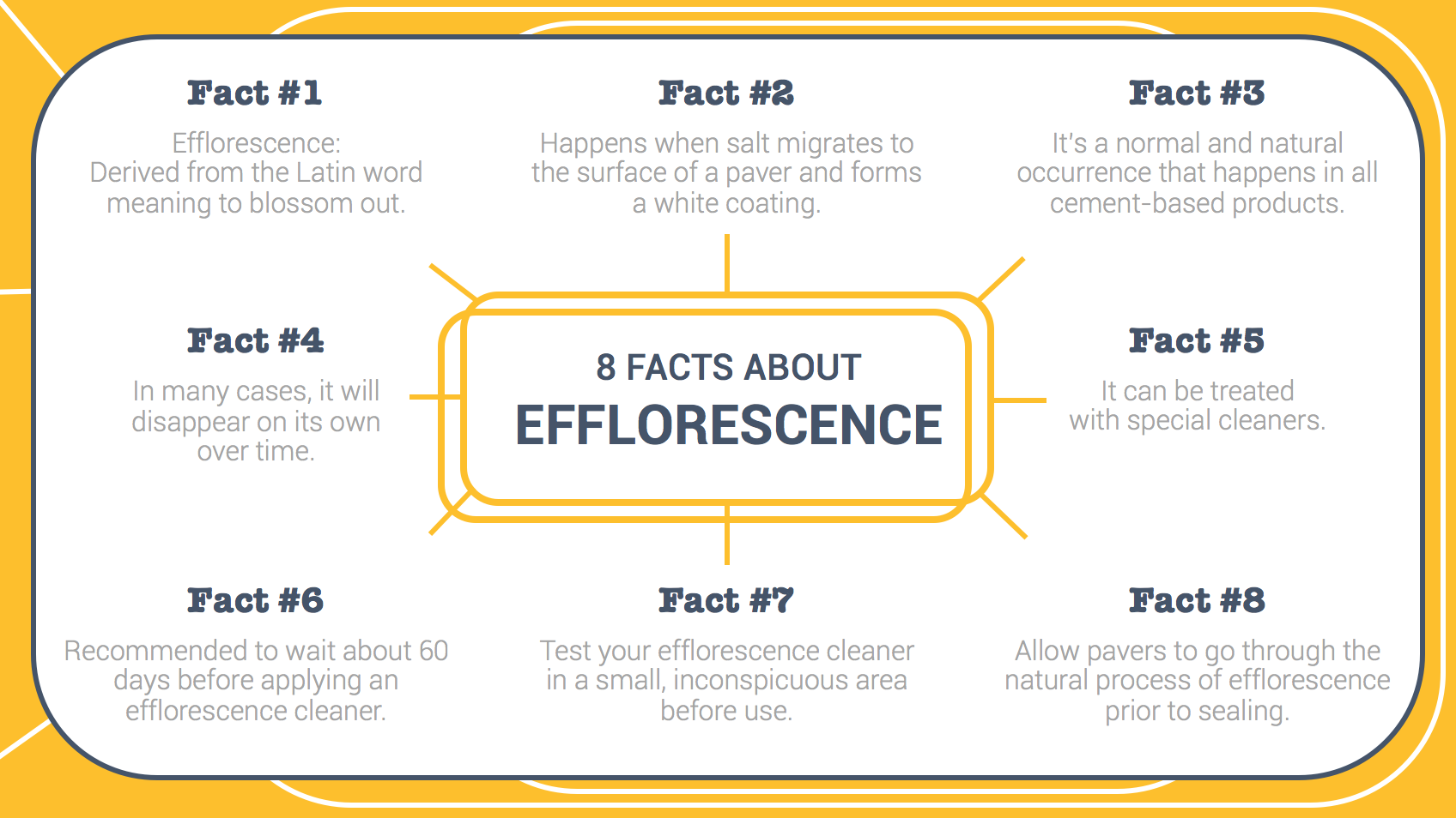 8_Facts_About_Efflorescence_Infographic