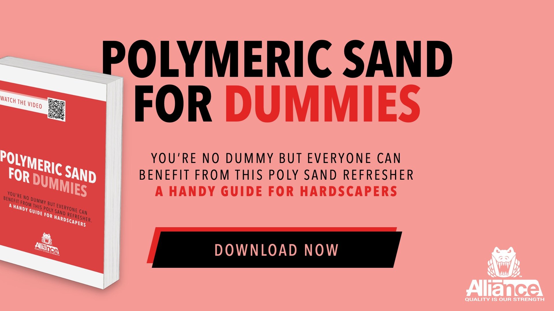 Polymeric Sand for Dummies Guide CTA