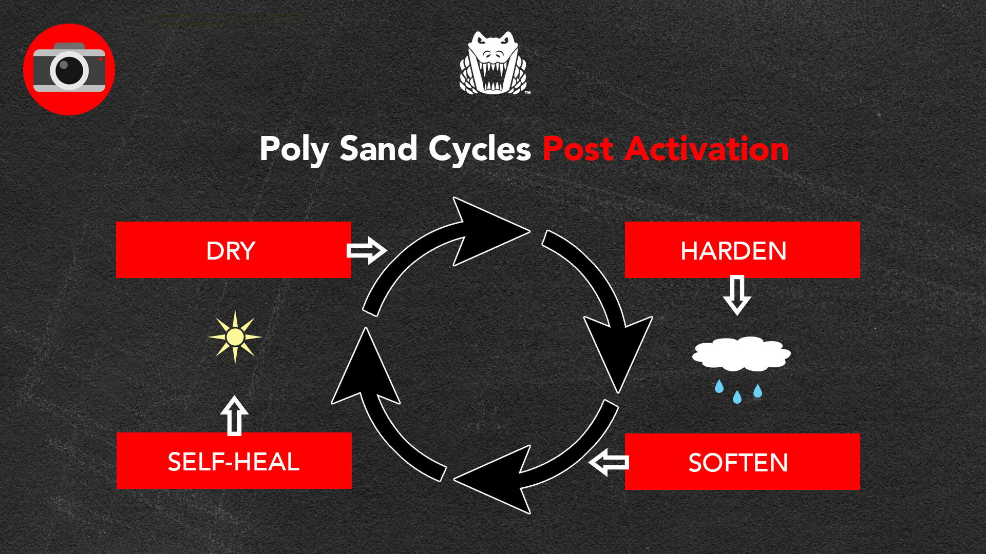 poly-sand-cycles-v3