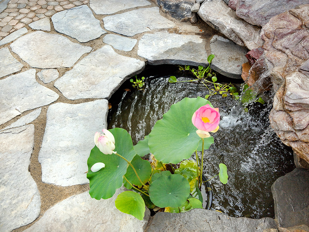 StepByStep Gator Dust Installation Guide